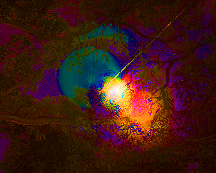 Color Moon Burst